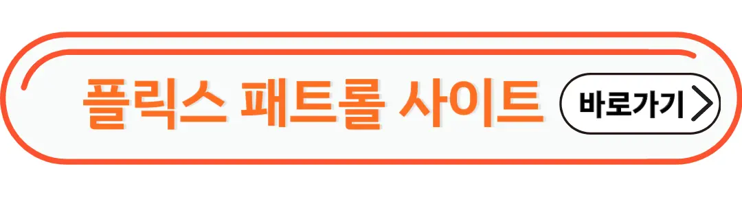 플릭스 패트롤 사이트 접속