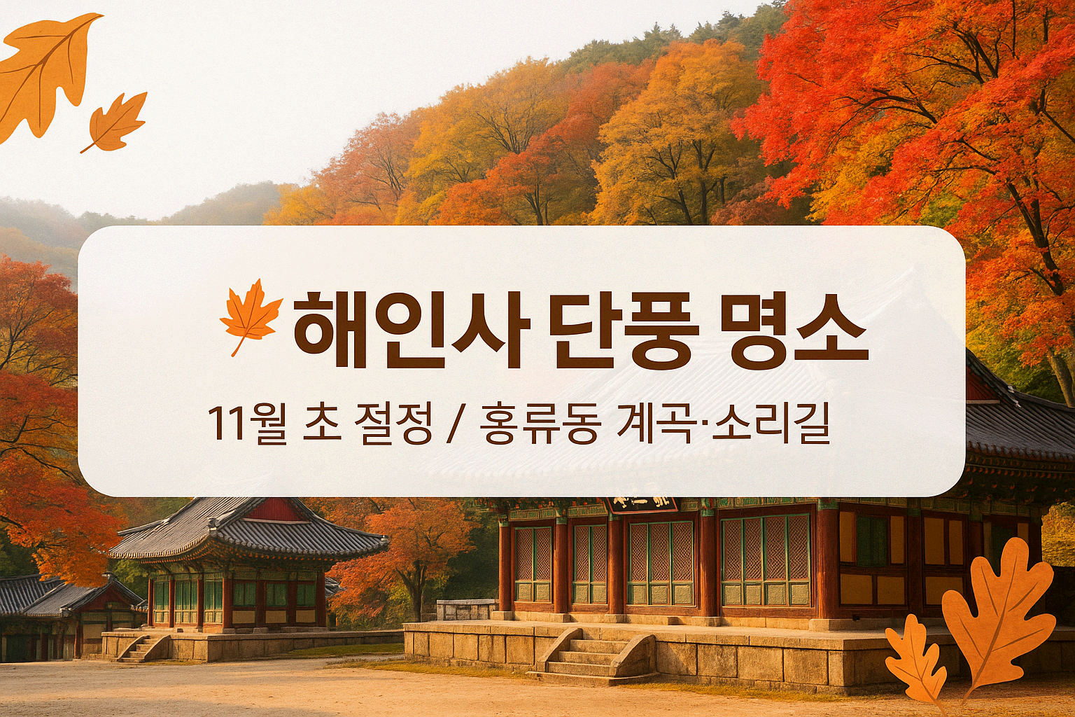 단풍 구경가볼만한곳