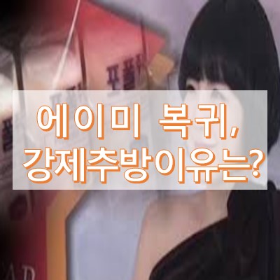 에이미 강제추방 당한 이유