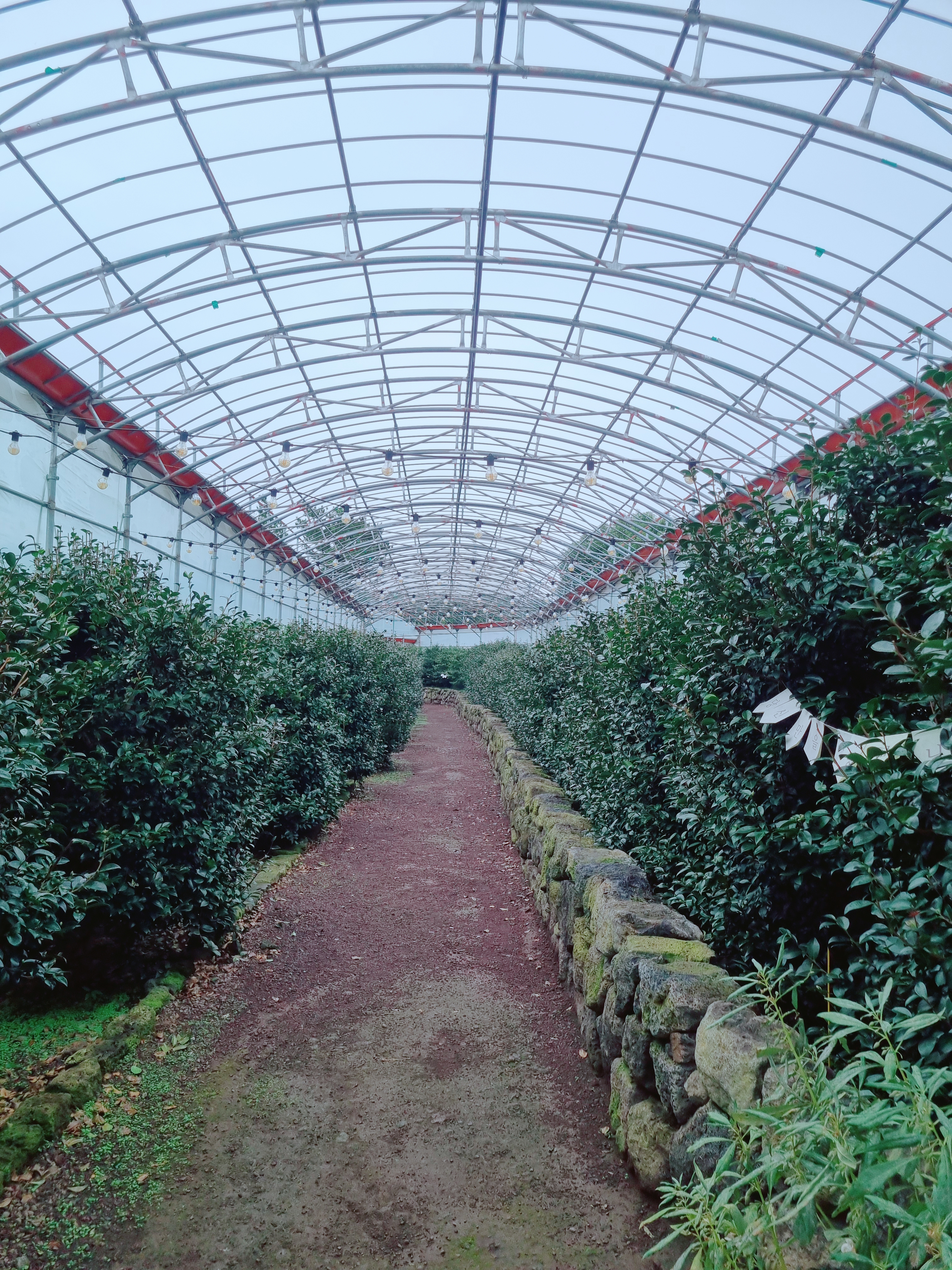 휴애리 자연생활공원