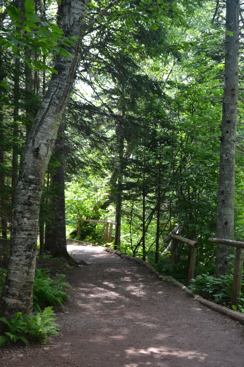 빨강머리앤 관련사진