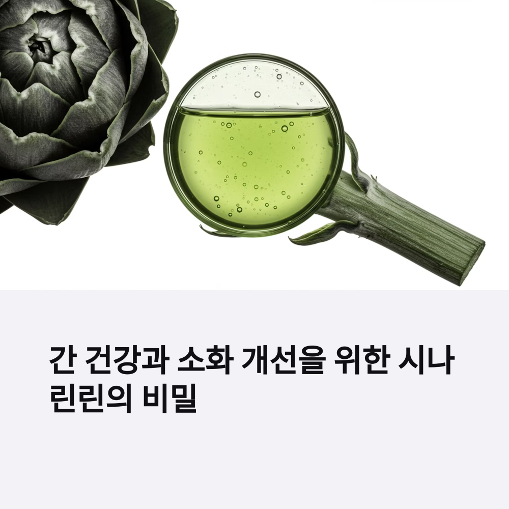 시나린의 그림