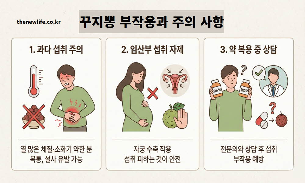 꾸지뽕 효능 부작용