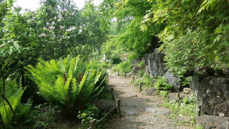 포천 국립수목원 광릉수목원 예약