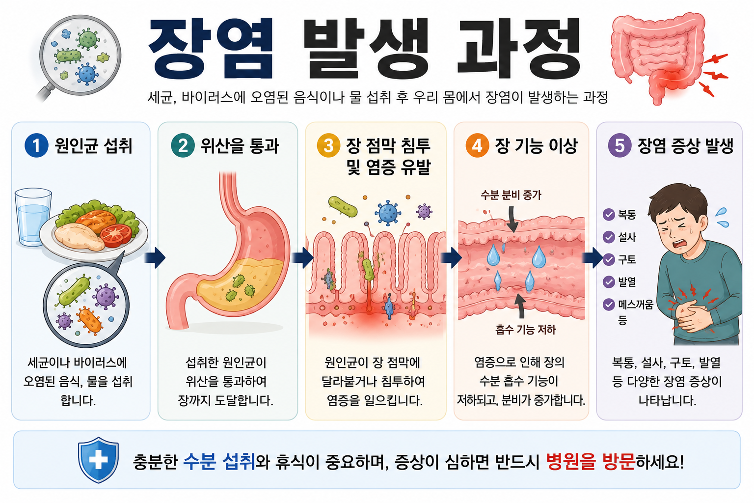 장염 발생 과정 이미지