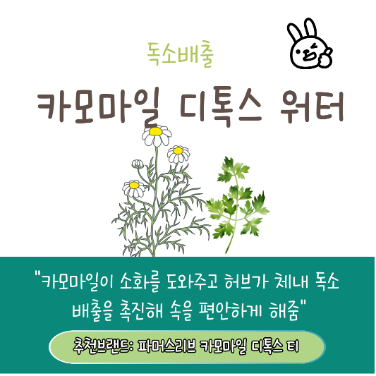 기름진식사후 마시면 좋은 케모마일 디톡스