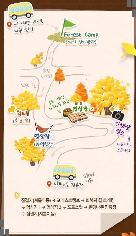 에버랜드 가든패스 필수! 11월 7일~10일, 국내 최대 '은행나무 군락지' 600명 한정 특별 개방