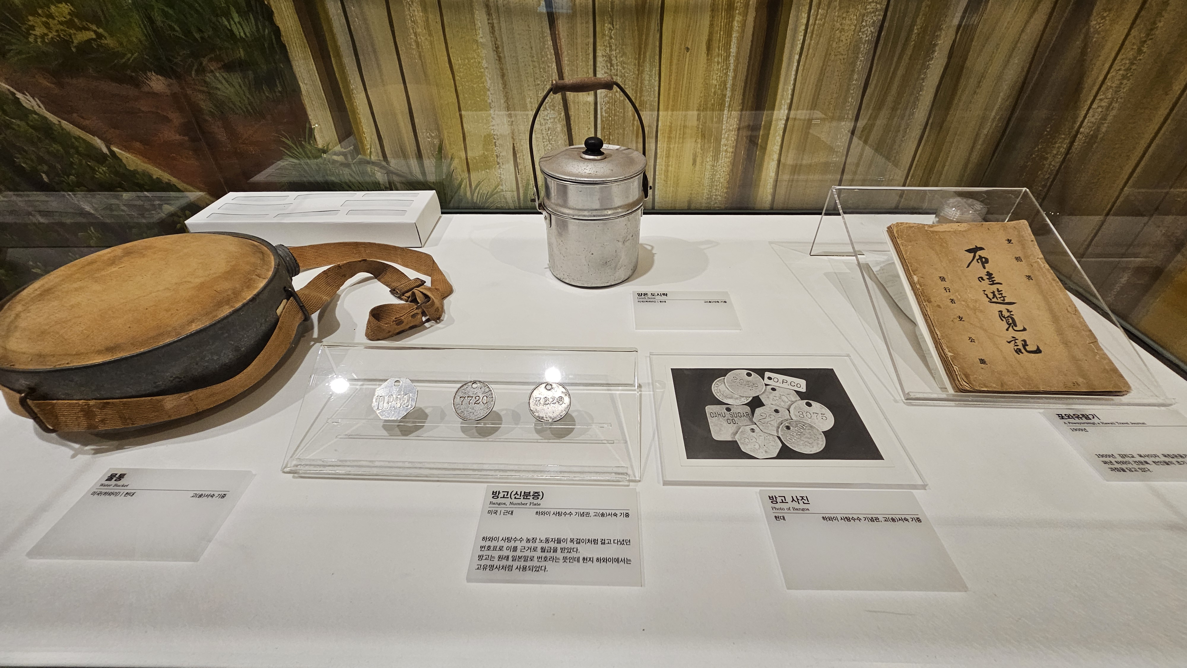 하와이이민 모집공고와 작업당시 물건 들