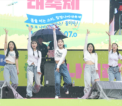함평나비축제 일정, 초대가수, 입장료 할인정보🦋