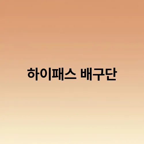 하이패스 배구단