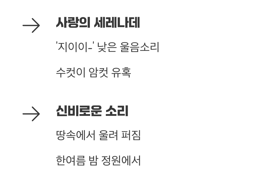 밤의 정원에서 들리는 울음소리