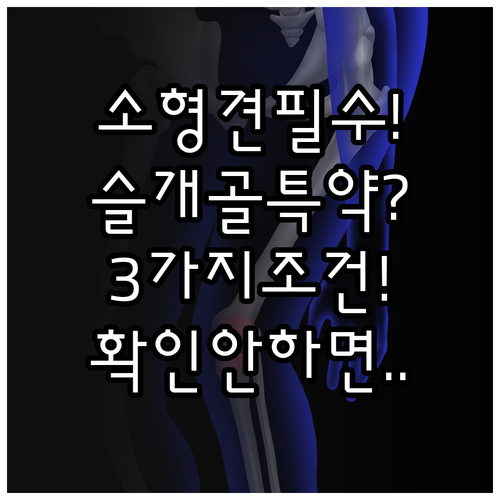 소형견 슬개골 특약, 반드시 확인해야..