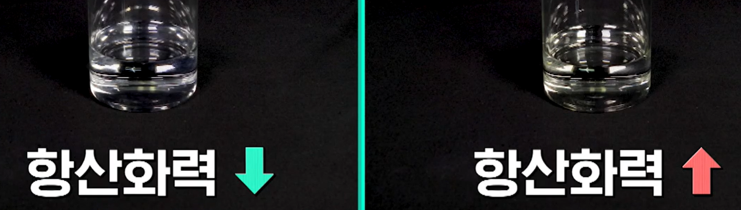 글루타치온 효능