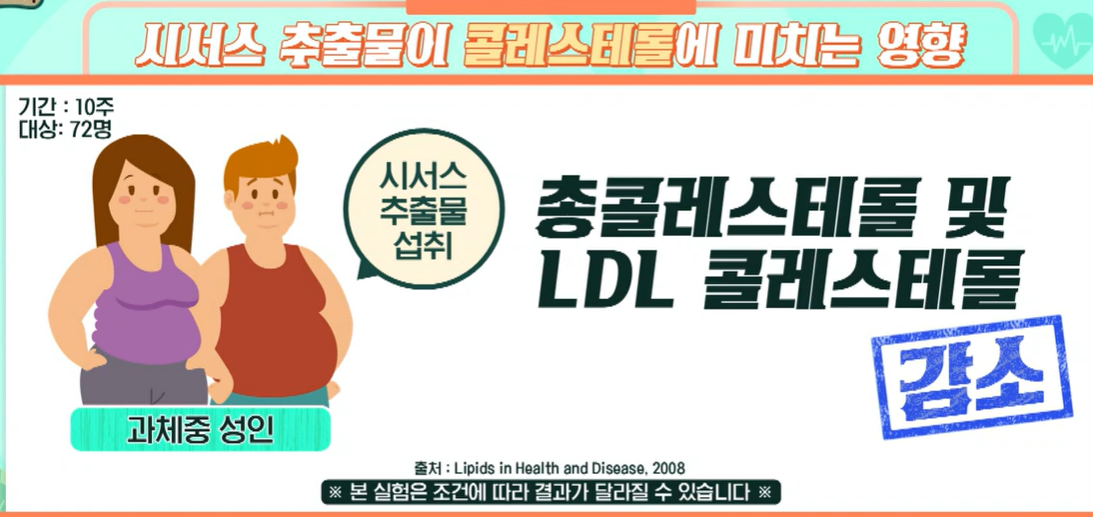 시서스 효능