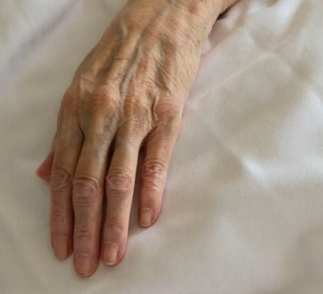 콘드로이친 효능 복용법 시간 부작용