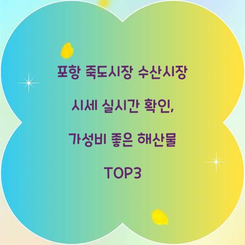 포항 죽도시장 수산시장 시세 실시간 확인