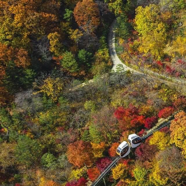 단풍명소 화담숲 온라인 예약 입장료