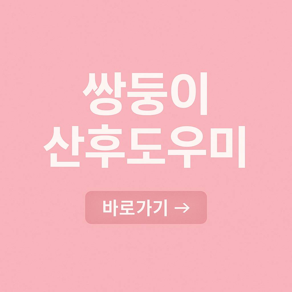 쌍둥이 산후도우미 지원 혜택