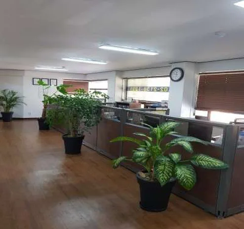 법무사한들사무소