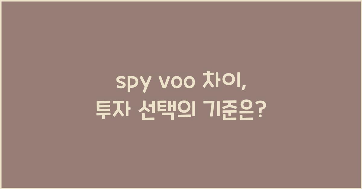 spy voo 차이