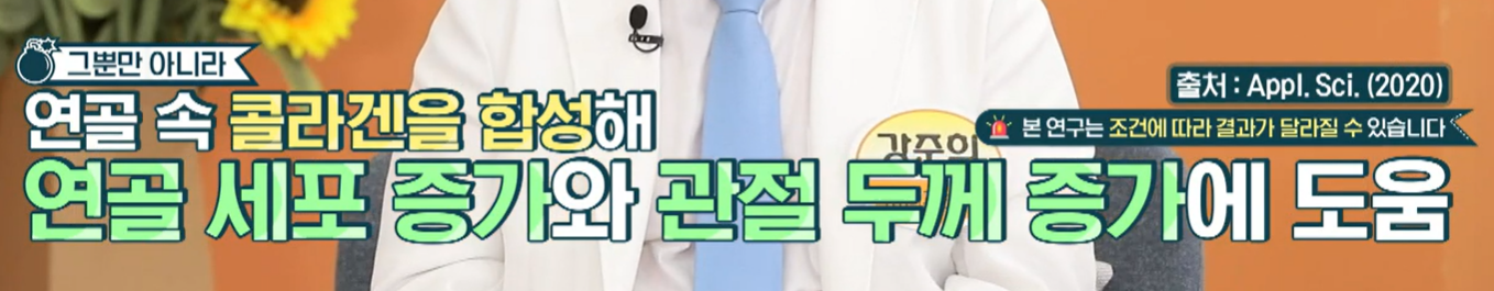 가자추출물 효능