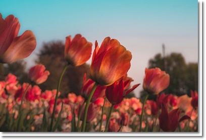 4월 5월 가볼만한곳 지역축제