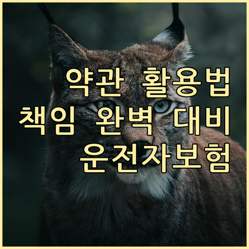 운전자보험 약관 활용법: 법적 책임 ..
