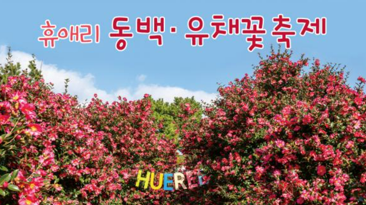 동백축제