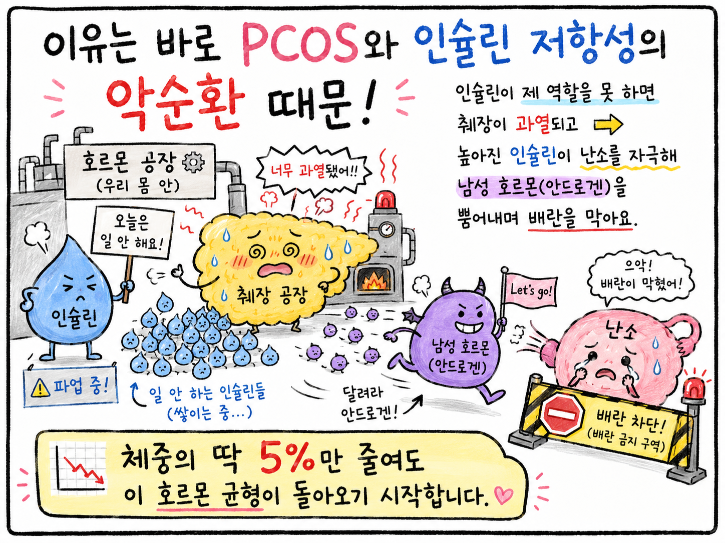 PCOS와 인슐린저항성,
왜 함께 묶어서 봐야 할까요