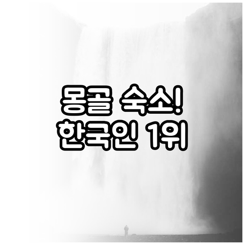 몽골 울란바토르 호텔 추천 한국인 만..