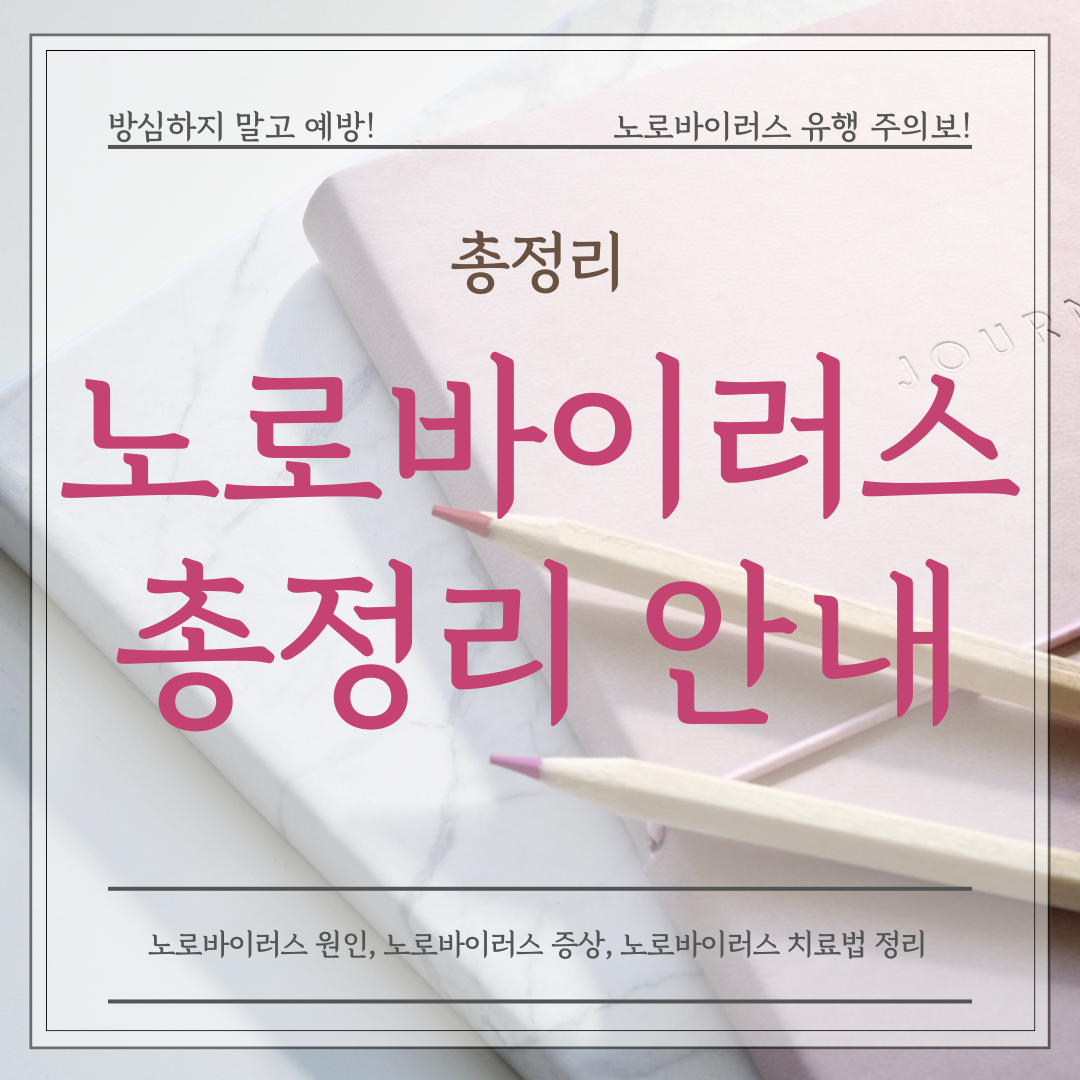 노로바이러스 총정리 안내