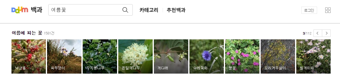 다양한 여름꽃 종류 검색 결과