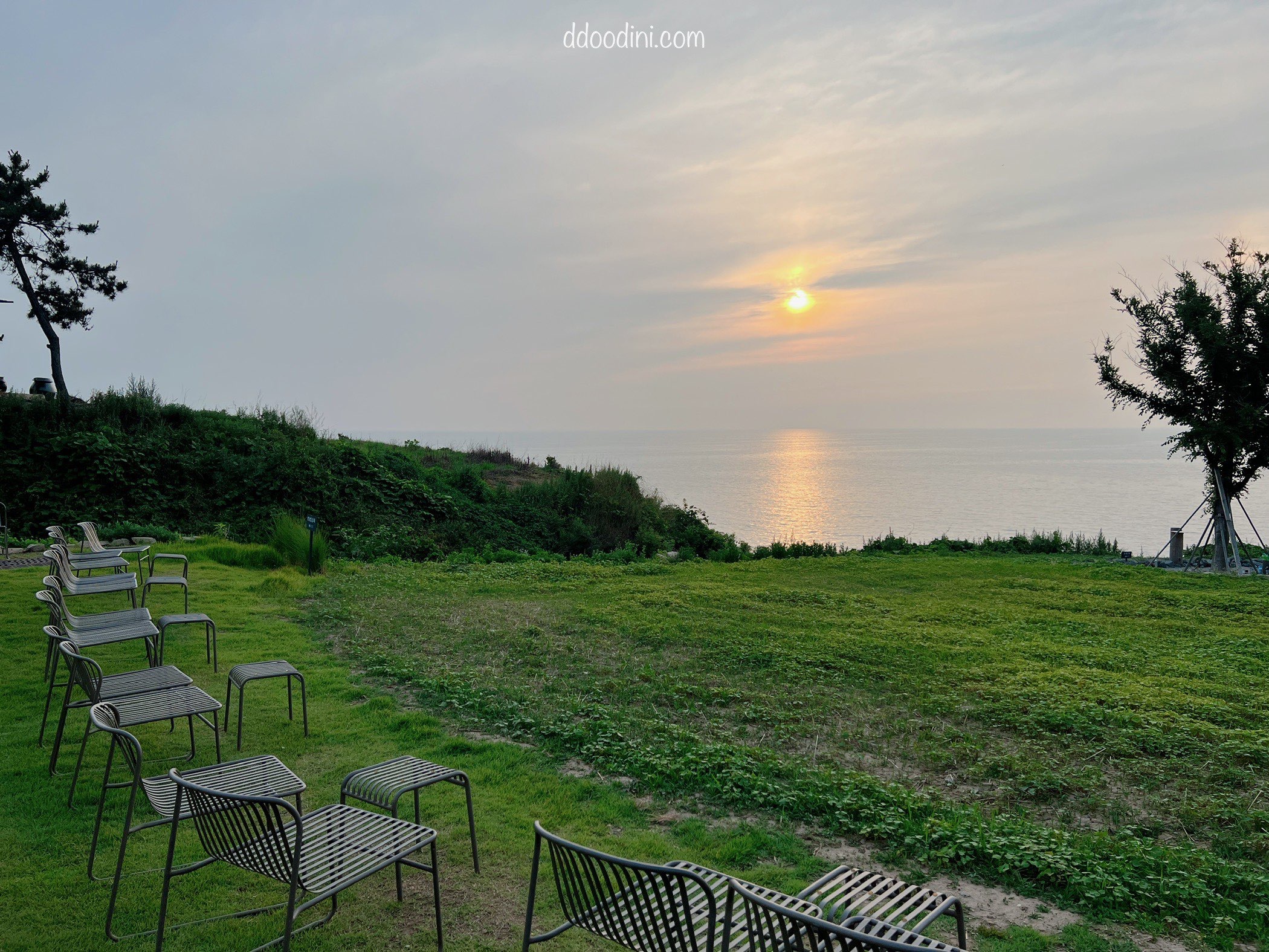 백수해안도로 보리