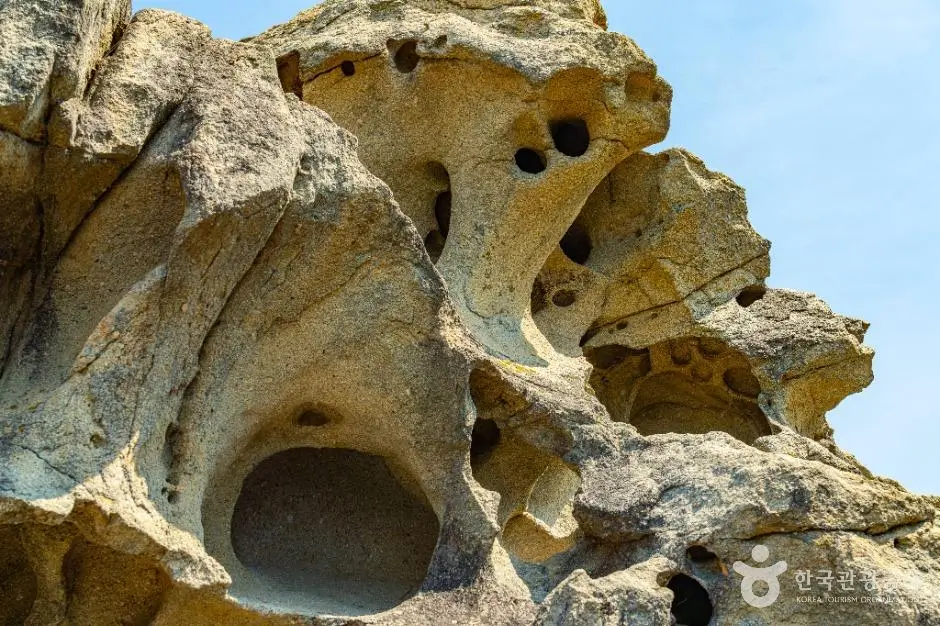 d31f67aa-7e80-4657-a362-25fd40cba693