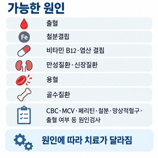 출혈 철분결핍 비타민 결핍 만성질환 신장질환 용혈 골수질환 등 헤모글로빈 수치 감소 원인과 원인검사 항목을 설명한 이미지