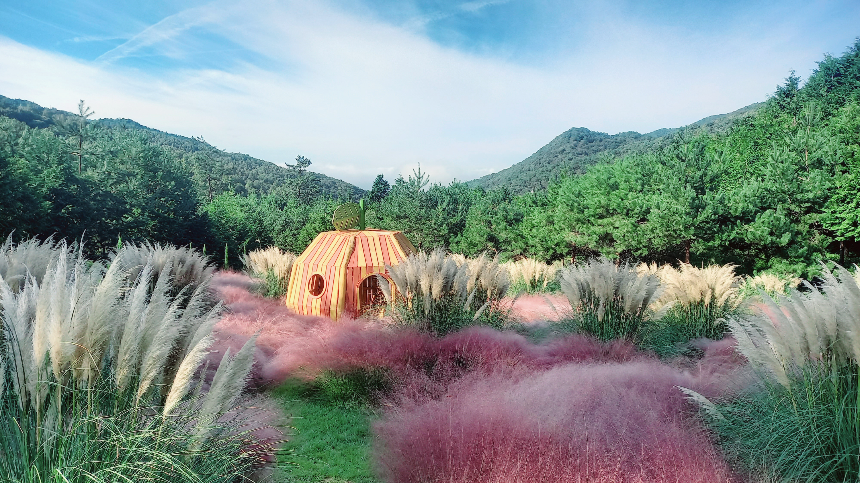 특색있고 아름다운 민간 정원 30선 추천 여행 - 21. 보성 성림정원