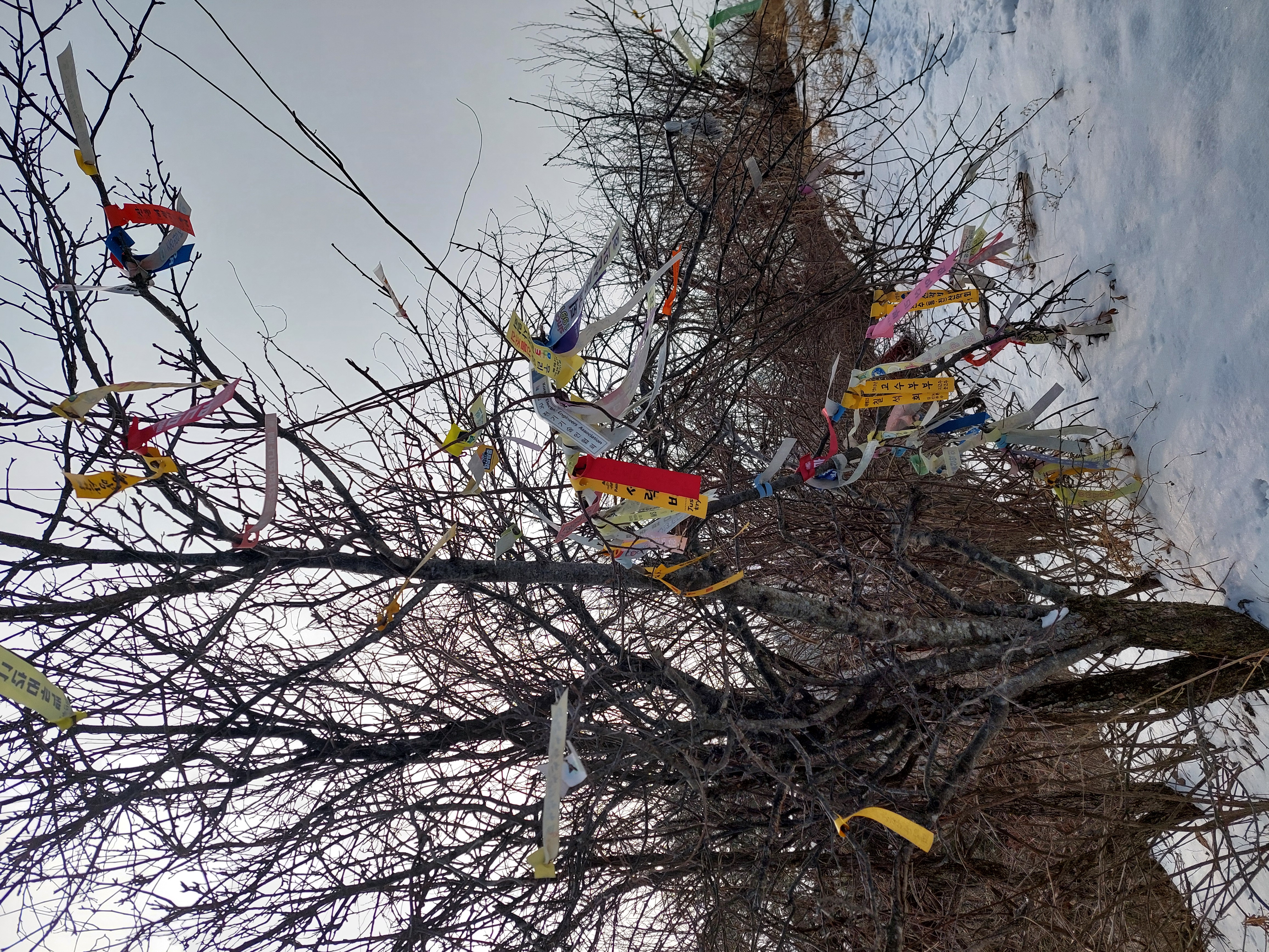 유명산