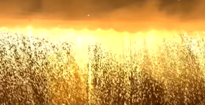 2024 서울세계불꽃축제