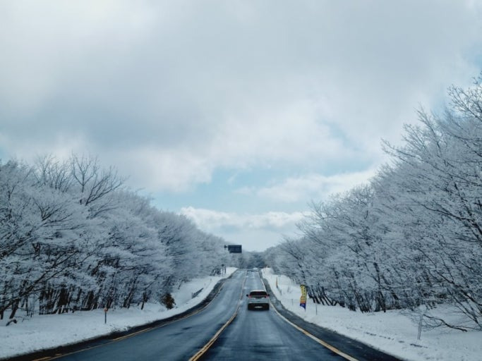 당일치기로 다녀오기 좋은 1월 국내 겨울 여행지 BEST 4 추천