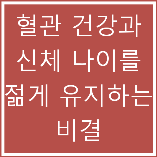 혈관 건강과 신체 나이를 젊게 유지하는 비결