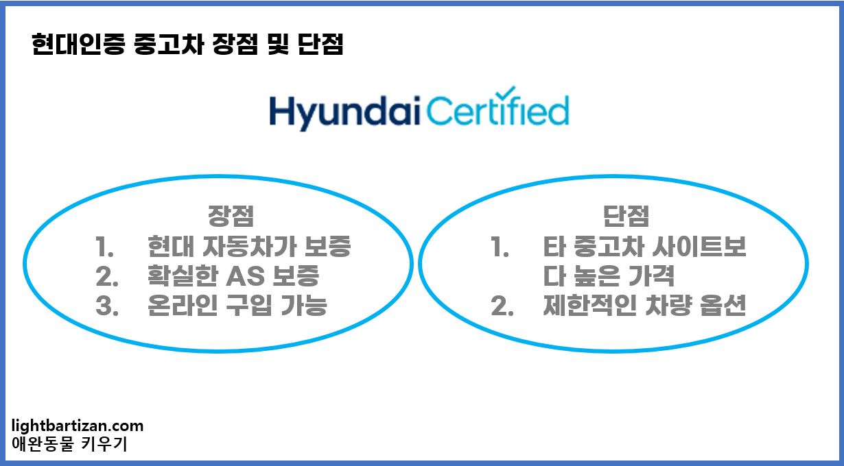 현대 인증 중고차 장단점