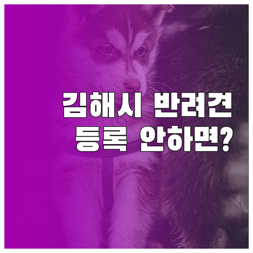 김해시 동물보호법 위반 과태료와 반려..