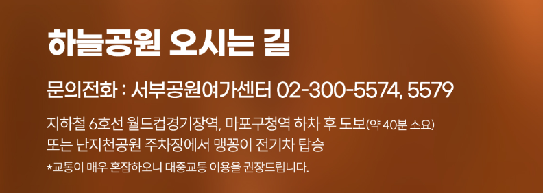 ▲ 제25회 하늘공원 서울억새축제 (출처 : 서울시)
