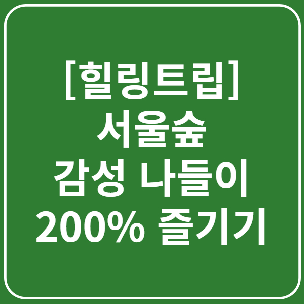 [힐링트립] 서울숲 감성 나들이, 도심 속 자연을 200% 즐기는 코스