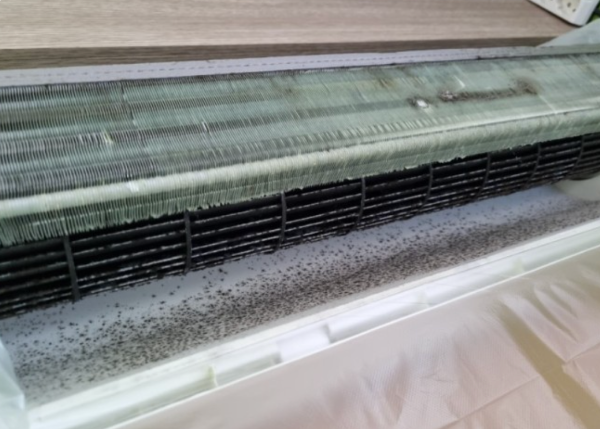 엘지 삼성 에어컨 청소 업체 가격비교 무료견적 신청방법