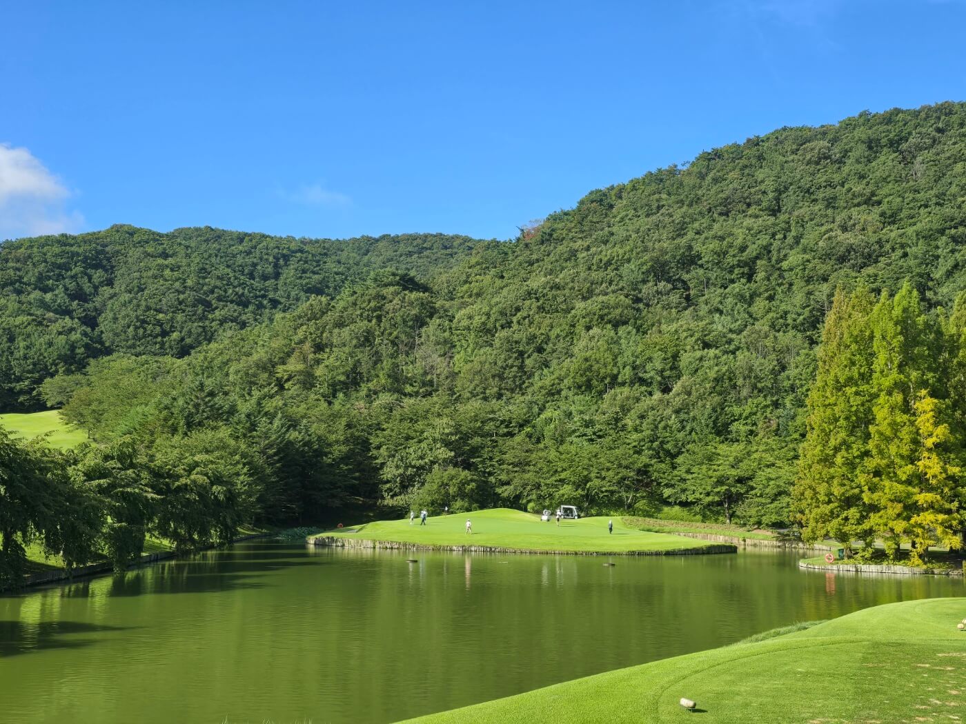 동부산 cc 사진17