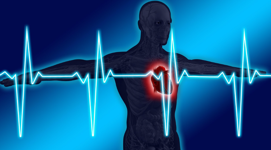 상피세포암의 특징과 원인, 주요 암의 예시,예방.