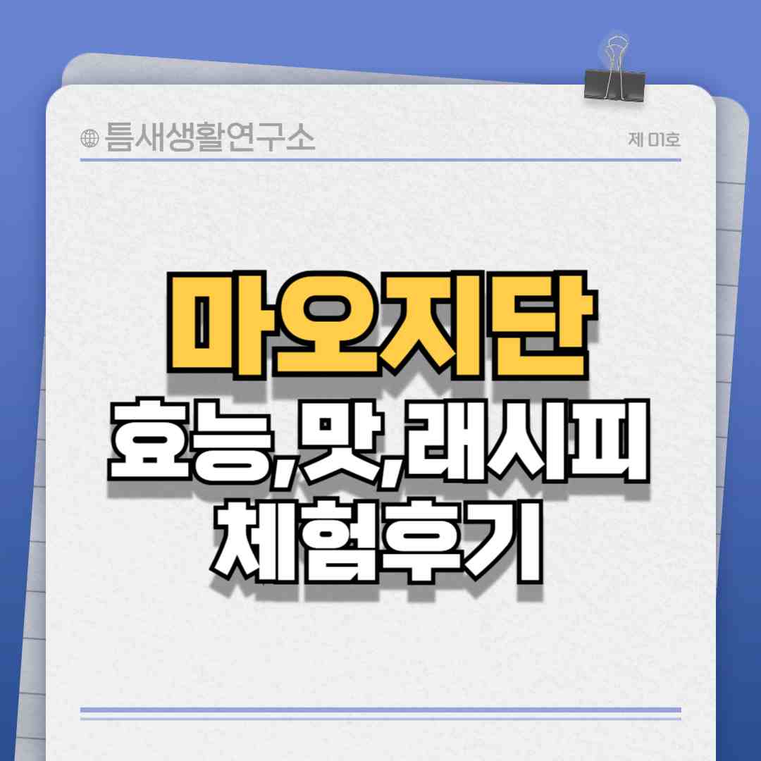 마오지단-썸네일