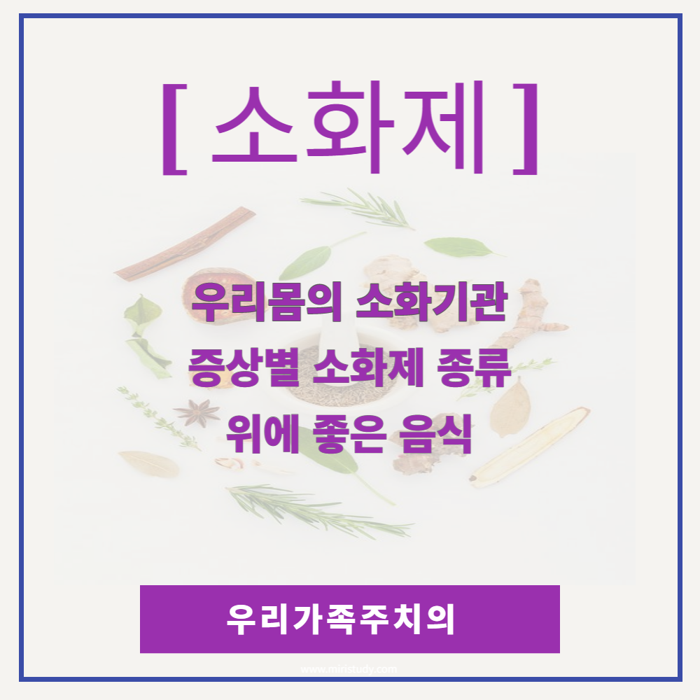 소화제