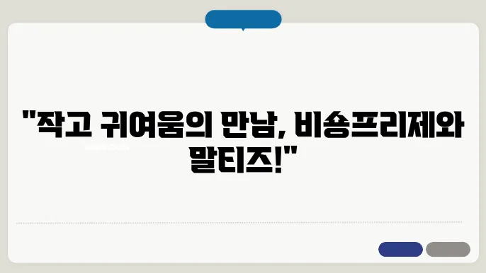 비숑프리제와 말티즈의 사랑스러운 만남